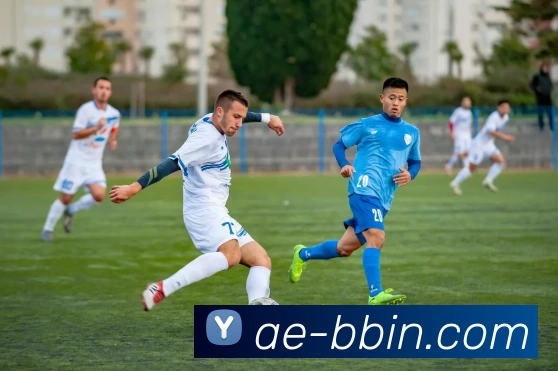 bbin体育平台发展历程